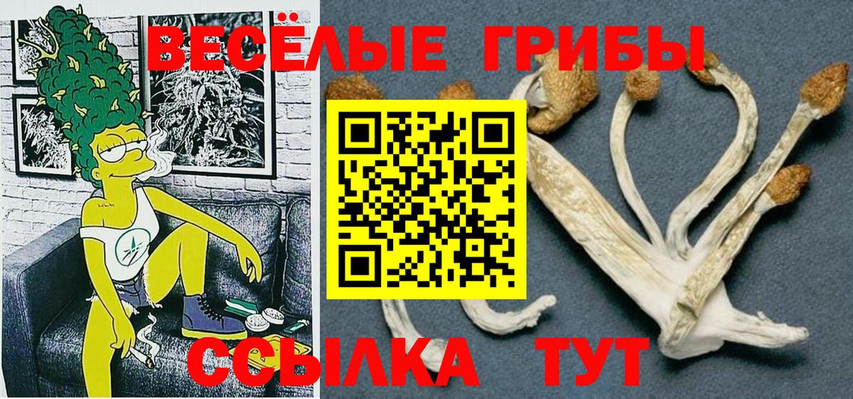 Псилоцибиновые грибы Psilocybine cubensis  Вход с VPN  Всеволожск  Псилоцибиновые грибы MAGIC MUSHROOMS 