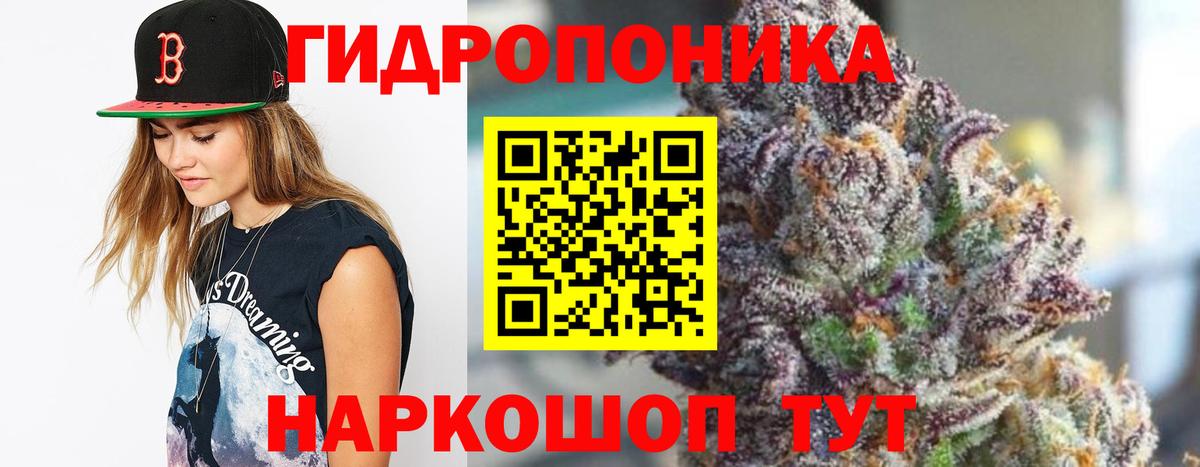 Бошки Шишки планчик  Каннабис Amnesia  Вход с VPN  Канабис MAZAR  Всеволожск 